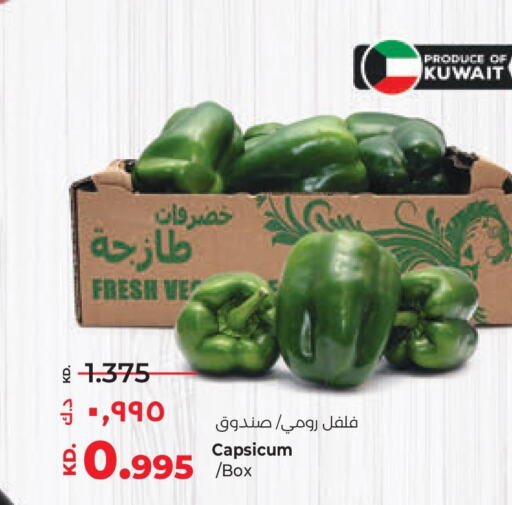  Chilli / Capsicum  in لولو هايبر ماركت in الكويت - محافظة الأحمدي