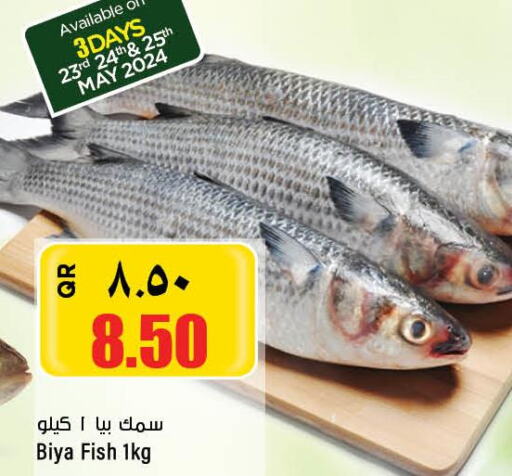  in New Indian Supermarket in Qatar - Al Rayyan