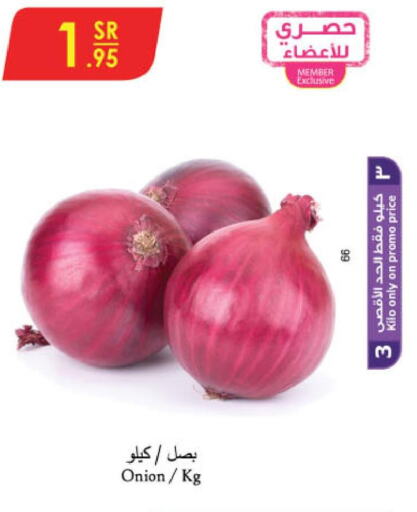  Onion  in Danube in KSA, Saudi Arabia, Saudi - Khamis Mushait