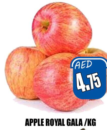  Apples  in هايبرماركت مجستك بلس in الإمارات العربية المتحدة , الامارات - أبو ظبي