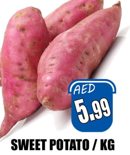  Sweet Potato  in هايبرماركت مجستك بلس in الإمارات العربية المتحدة , الامارات - أبو ظبي