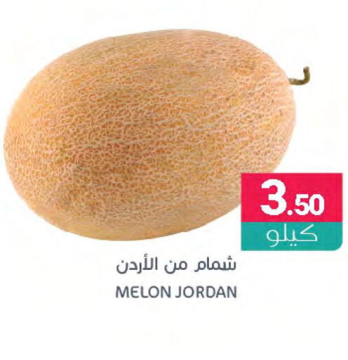  Sweet melon  in اسواق المنتزه in مملكة العربية السعودية, السعودية, سعودية - سيهات