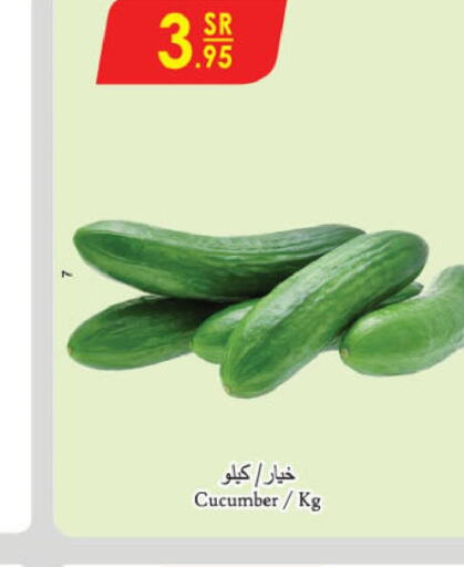  Cucumber  in الدانوب in مملكة العربية السعودية, السعودية, سعودية - جدة
