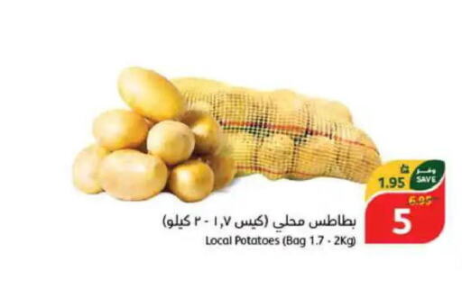  Potato  in هايبر بنده in مملكة العربية السعودية, السعودية, سعودية - الأحساء‎