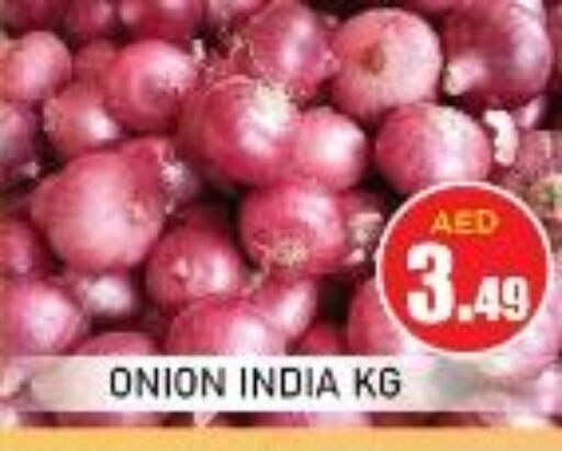  Onion  in سنابل بني ياس in الإمارات العربية المتحدة , الامارات - أم القيوين‎
