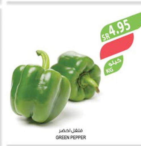  Chilli / Capsicum  in المزرعة in مملكة العربية السعودية, السعودية, سعودية - سكاكا