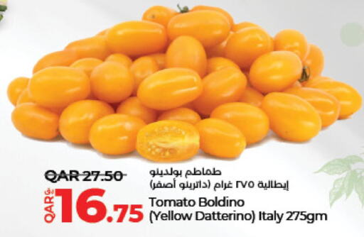  Tomato  in لولو هايبرماركت in قطر - الدوحة