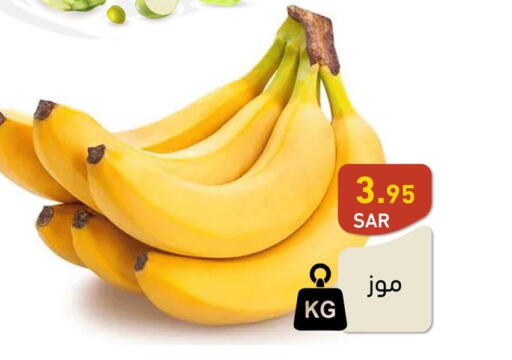  Banana  in أسواق رامز in مملكة العربية السعودية, السعودية, سعودية - المنطقة الشرقية