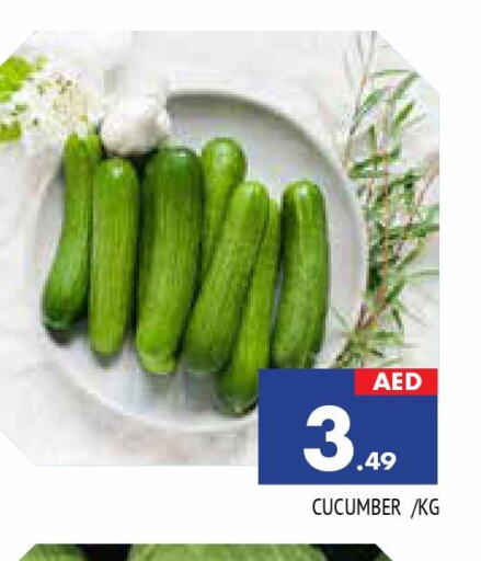  Cucumber  in المدينة in الإمارات العربية المتحدة , الامارات - الشارقة / عجمان