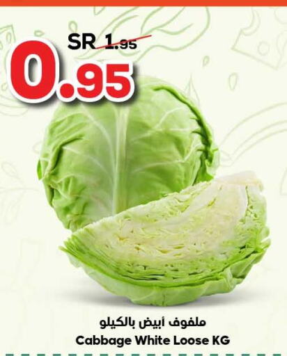  Cabbage  in الدكان in مملكة العربية السعودية, السعودية, سعودية - المدينة المنورة