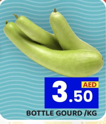  Gourd  in Royal Grand Hypermarket LLC in UAE - Abu Dhabi