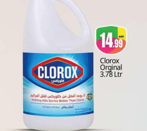 CLOROX General Cleaner  in بيج مارت in الإمارات العربية المتحدة , الامارات - دبي
