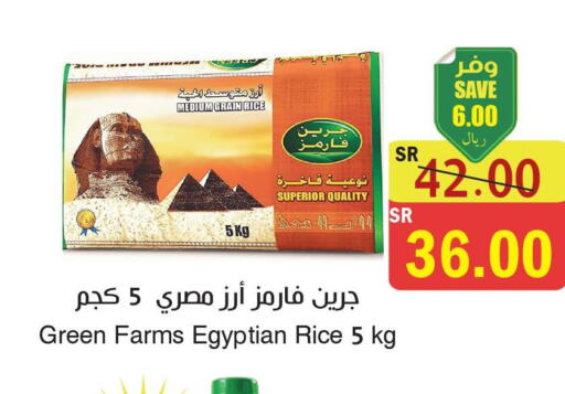  Egyptian / Calrose Rice  in  Green Center in KSA, Saudi Arabia, Saudi - Jazan