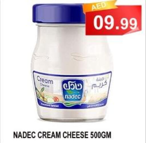 NADEC Cream Cheese  in كاريون هايبرماركت in الإمارات العربية المتحدة , الامارات - أبو ظبي
