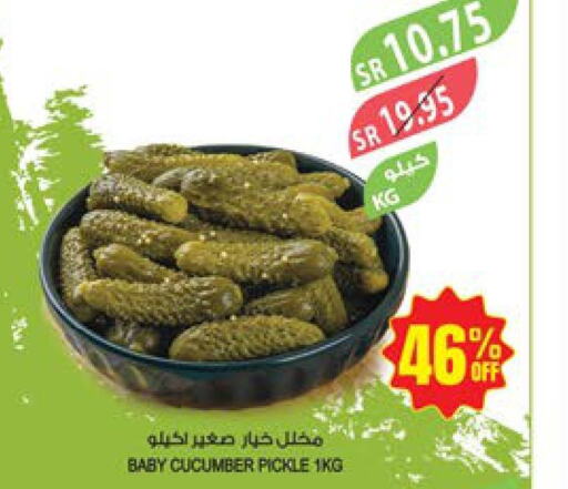  Pickle  in المزرعة in مملكة العربية السعودية, السعودية, سعودية - تبوك