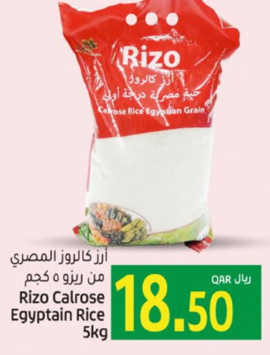  Egyptian / Calrose Rice  in جلف فود سنتر in قطر - الريان