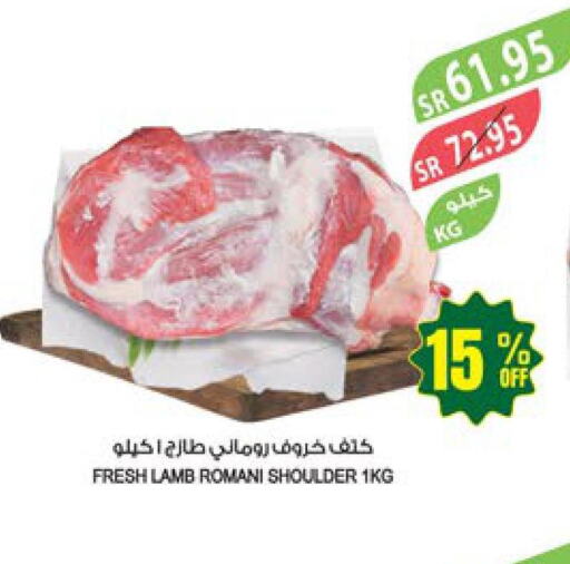  Mutton / Lamb  in Farm  in KSA, Saudi Arabia, Saudi - Sakaka