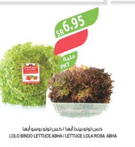  Mushroom  in المزرعة in مملكة العربية السعودية, السعودية, سعودية - أبها