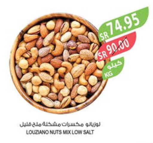  Cereals  in Farm  in KSA, Saudi Arabia, Saudi - Qatif