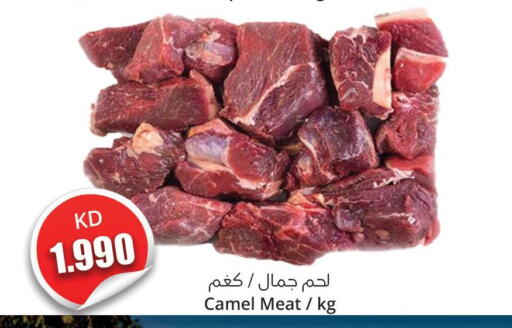  Camel meat  in 4 سيفمارت in الكويت - مدينة الكويت