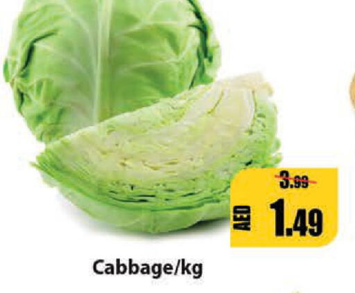  Cabbage  in ليبتس هايبرماركت in الإمارات العربية المتحدة , الامارات - أم القيوين‎
