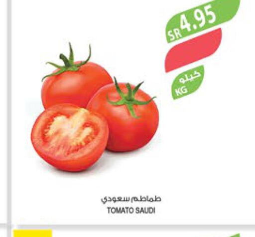  Tomato  in Farm  in KSA, Saudi Arabia, Saudi - Yanbu