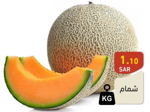  Sweet melon  in أسواق رامز in مملكة العربية السعودية, السعودية, سعودية - تبوك