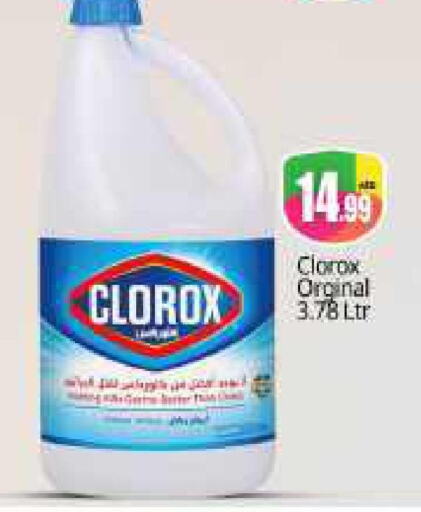 CLOROX General Cleaner  in بيج مارت in الإمارات العربية المتحدة , الامارات - دبي