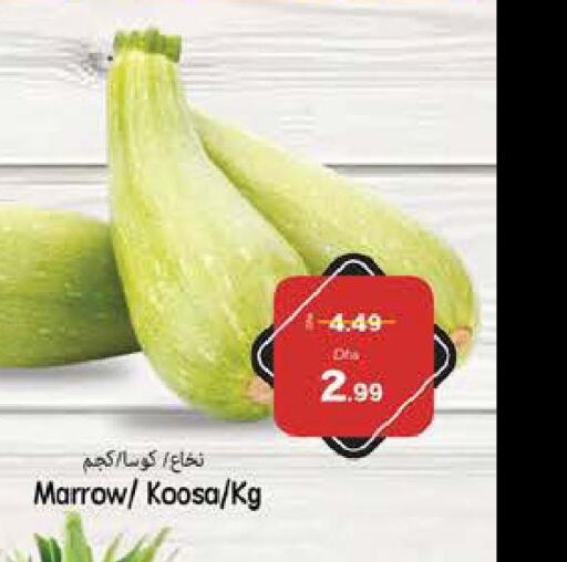 Zucchini  in PASONS GROUP in UAE - Fujairah