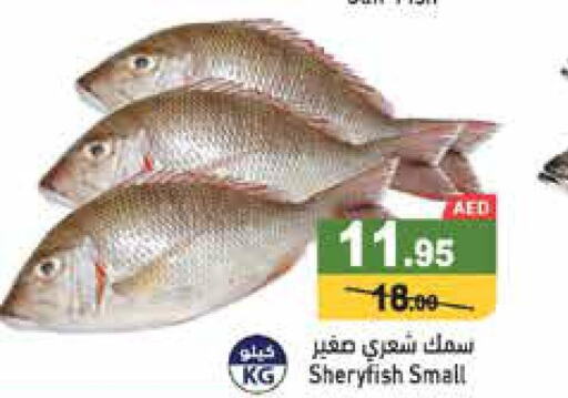  King Fish  in Aswaq Ramez in UAE - Ras al Khaimah