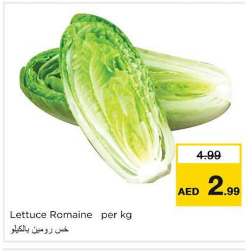  Cauliflower  in نستو هايبرماركت in الإمارات العربية المتحدة , الامارات - دبي