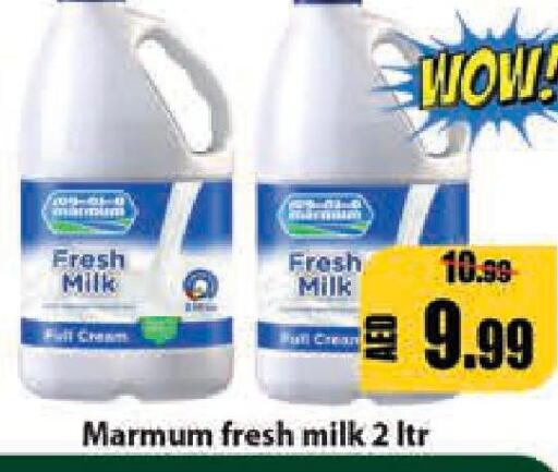 MARMUM Full Cream Milk  in Leptis Hypermarket  in UAE - Umm al Quwain