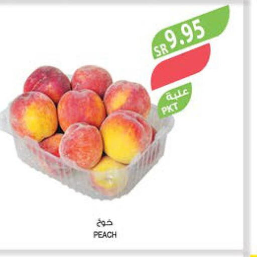  Peach  in المزرعة in مملكة العربية السعودية, السعودية, سعودية - تبوك