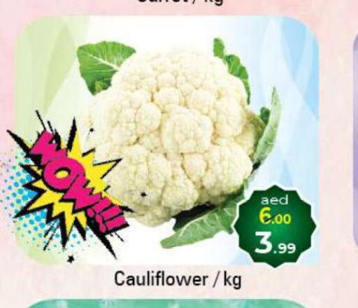  Cauliflower  in سوق المبارك هايبرماركت in الإمارات العربية المتحدة , الامارات - الشارقة / عجمان