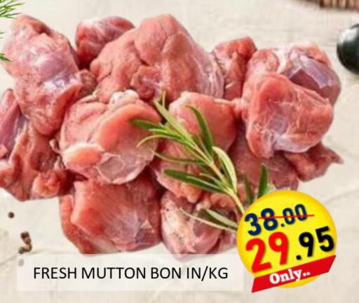  Mutton / Lamb  in ROYAL GULF HYPERMARKET LLC in UAE - Al Ain
