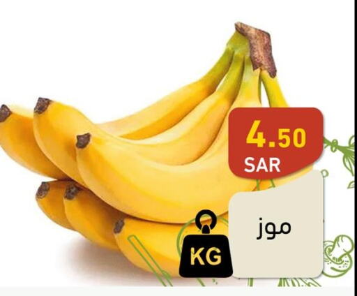  Banana  in أسواق رامز in مملكة العربية السعودية, السعودية, سعودية - الأحساء‎