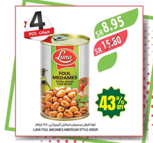 LUNA Fava Beans  in المزرعة in مملكة العربية السعودية, السعودية, سعودية - الخفجي