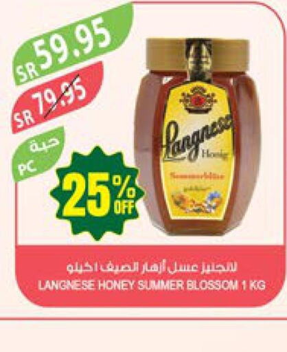 Honey  in المزرعة in مملكة العربية السعودية, السعودية, سعودية - الباحة
