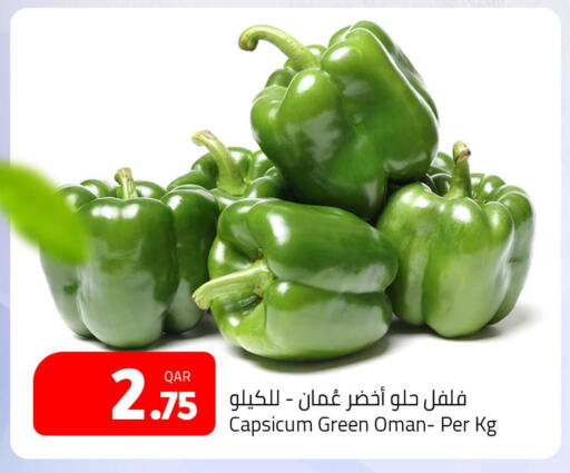  Chilli / Capsicum  in مسكر هايبر ماركت in قطر - الشحانية