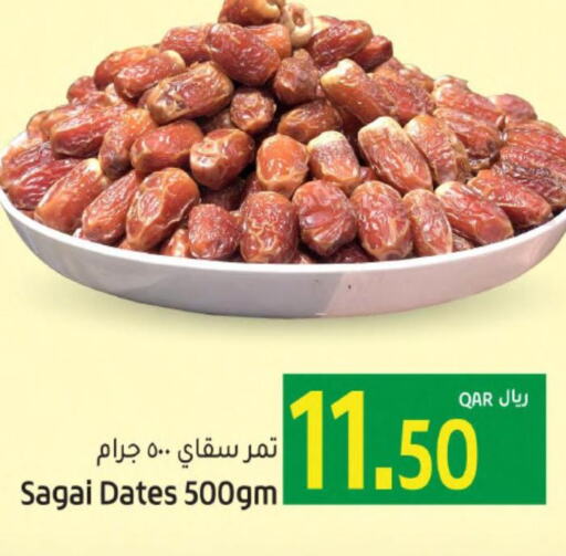  Fava Beans  in Gulf Food Center in Qatar - Al Shamal