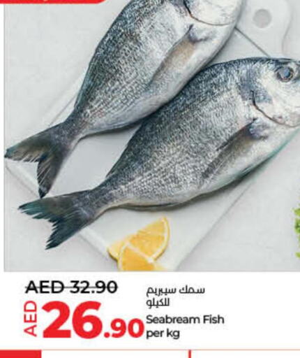  Labneh  in Lulu Hypermarket in UAE - Umm al Quwain
