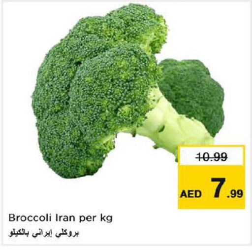  Broccoli  in Last Chance  in UAE - Fujairah