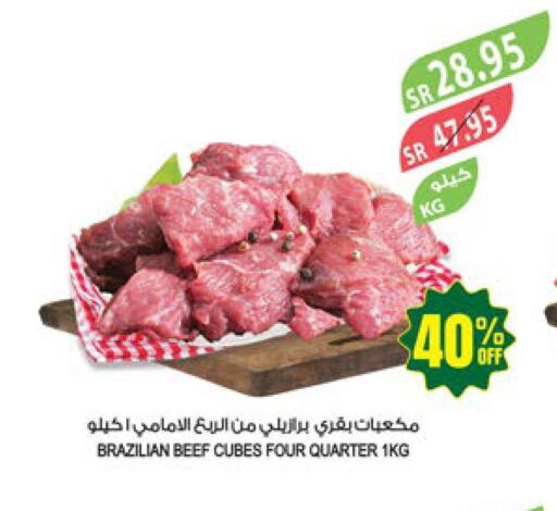 Beef  in Farm  in KSA, Saudi Arabia, Saudi - Sakaka