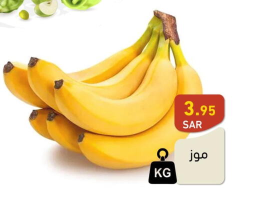  Banana  in أسواق رامز in مملكة العربية السعودية, السعودية, سعودية - الرياض