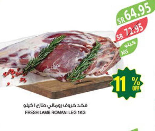  Mutton / Lamb  in المزرعة in مملكة العربية السعودية, السعودية, سعودية - سكاكا