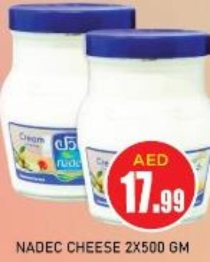 NADEC Cream Cheese  in Baniyas Spike  in UAE - Umm al Quwain