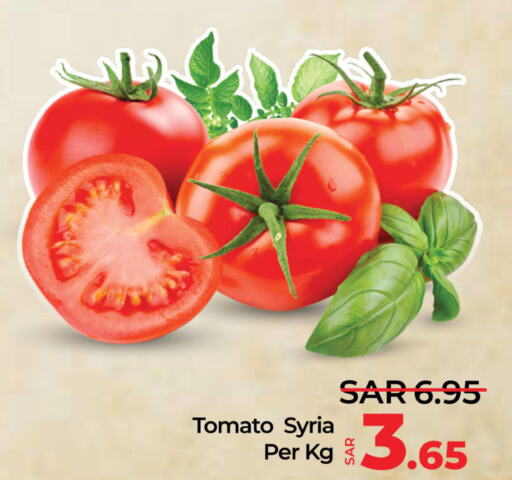  Tomato  in لولو هايبرماركت in مملكة العربية السعودية, السعودية, سعودية - الخبر‎