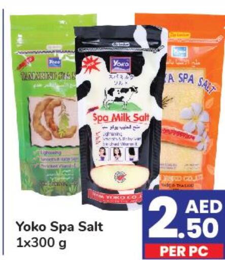 Salt  in Day to Day Department Store in UAE - Dubai