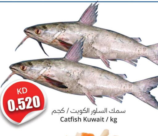  in 4 SaveMart in Kuwait - Kuwait City