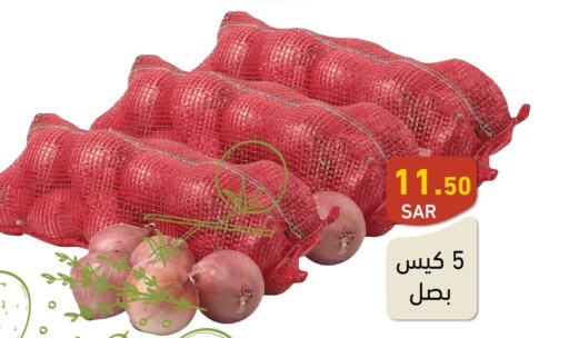  Onion  in Aswaq Ramez in KSA, Saudi Arabia, Saudi - Tabuk